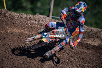 2024-08-11 - Motocross World Championship-Round 14-MXGP of Uddevalla (SWE)-11 Agosto 2024-MX2 Class-Andrea Adamo-Team KTM Factory - MXGP OF SWEDEN - MOTOCROSS - MOTORS