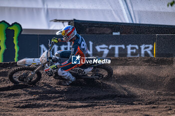 2024-08-18 - Motocross World Championship-Round 16-MXGP of The Netherlands (SWE)-18 Agosto 2024MX2 Class-Lucas Coenen-Team Husqvarna Factory - MXGP OF THE NETHERLANDS - MOTOCROSS - MOTORS