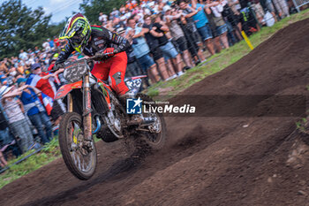 2024-08-18 - Motocross World Championship-Round 16-MXGP of The Netherlands (SWE)-18 Agosto 2024-MXGP Class-Antonio Cairoli-Ducati Corse - MXGP OF THE NETHERLANDS - MOTOCROSS - MOTORS