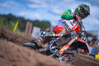 2024-08-18 - Motocross World Championship-Round 16-MXGP of The Netherlands (SWE)-18 Agosto 2024-MXGP Class-Antonio Cairoli-Ducati Corse - MXGP OF THE NETHERLANDS - MOTOCROSS - MOTORS