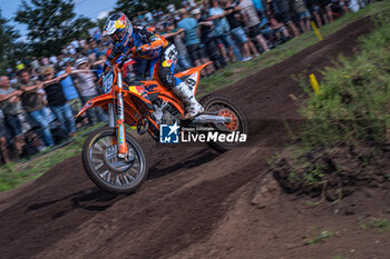 2024-08-18 - Motocross World Championship-Round 16-MXGP of The Netherlands (SWE)-18 Agosto 2024-MX2 Class-Sasha Coenen-Team KTM Factory - MXGP OF THE NETHERLANDS - MOTOCROSS - MOTORS