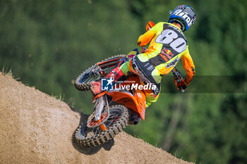 2024-08-25 - Motocross World Championship-Round 17-MXGP of Switzerland – 25 Agosto 2024-MX2 Class-Andrea Adamo-Team KTM Factory - MXGP OF SWITZERLAND - MOTOCROSS - MOTORS