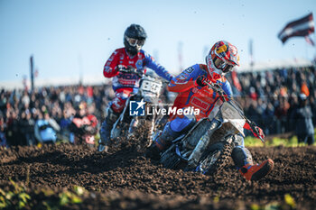 2024-10-06 - Motocross of Nation-Matterley Basin England – 06 Ottobre 2024-KAY DE WOLF - MONSTER ENERGY FIM MXON - MOTOCROSS - MOTORS