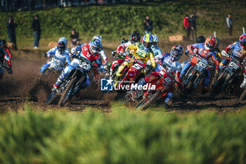 2024-10-06 - Motocross of Nation-Matterley Basin England – 06 Ottobre 2024-Start Class MX2 - MONSTER ENERGY FIM MXON - MOTOCROSS - MOTORS