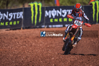 2024-09-29 - Motocross World Championship-Round 20-MXGP of Castilia la Mancha – 29 Settembre 2024-MXGP Class-Tim Gajser-Team HRC - MXGP OF CASTILLA LA MANCHA  - MOTOCROSS - MOTORS