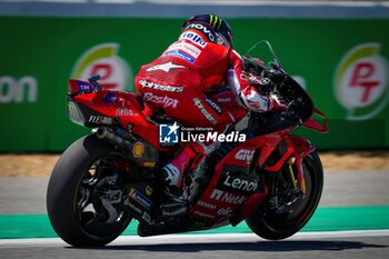 25/10/2024 - Free practice before PT Thailand Grand Prix of MotoGP at Chang International Circuit. October 25, 2024 In picture: Enea Bastianini Entrenamientos libres previos al Gran Premio de MotoGP de Thailandia en el Circuito Internacional de Chang. 25 de Octubre de 2024 POOL/ MotoGP.com / Cordon Press Images will be for editorial use only. Mandatory credit: ?MotoGP.com Cordon Press Cordon Press Cordon Press - FREE PRACTICE MOTOGP THAILAND GRAND PRIX - MOTOGP - MOTORI