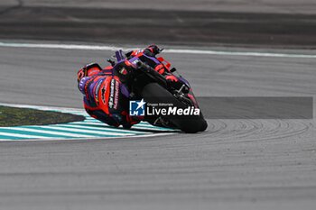 2024-11-01 - Free practice for Petronas Grand Prix of Malaysia of MotoGP at Sepang Circuit. November 01 2024 In picture: Jorge Martin Entrenamientos libres del Gran Premio de MotoGP de Malasia en el Circuito Internacional de Sepang. 01 de Noviembre de 2024 POOL/ MotoGP.com / Cordon Press Images will be for editorial use only. Mandatory credit: ?MotoGP.com Cordon Press - FREE PRACTICE MOTOGP GRAND PRIX OF MALAYSIA - MOTOGP - MOTORS