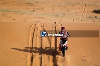 2024-01-15 - 28 DOVEZE Mathieu (fra), BAS World KTM Racing Team, KTM, Moto, FIM W2RC, action during the Stage 8 of the Dakar 2024 on January 15, 2024 between Al Duwadimi and Hail, Saudi Arabia - DAKAR 2024 - STAGE 8 - RALLY - MOTORS