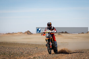 2024-01-16 - 47 BENAVIDES Kevin (arg), Red Bull KTM Factory Racing, KTM, Moto, action during the Stage 9 of the Dakar 2024 on January 16, 2024 between Hail and Al Ula, Saudi Arabia - DAKAR 2024 - STAGE 9 - RALLY - MOTORS