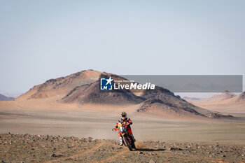 2024-01-16 - 02 PRICE Toby (aus), Red Bull KTM Factory Racing, KTM, Moto, action during the Stage 9 of the Dakar 2024 on January 16, 2024 between Hail and Al Ula, Saudi Arabia - DAKAR 2024 - STAGE 9 - RALLY - MOTORS