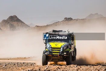 2024-01-16 - 622 BECX Michiel (nld), VAN GINKEL Wulfert (nld), KUIJPERS Edwin (nld), Becx Competition Team de Rooy FTP, Iveco Powerstar, FIA Truck, action during the Stage 9 of the Dakar 2024 on January 16, 2024 between Hail and Al Ula, Saudi Arabia - DAKAR 2024 - STAGE 9 - RALLY - MOTORS