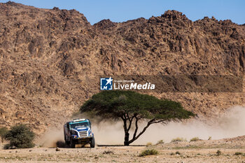 2024-01-17 - 603 VAN DEN BRINK Mitchel (nld), VAN DE POL Jarno (spa), TORRALLARDONA Moises (spa), Eurol Rallysport, Iveco 4x4 DRNL, FIA Truck, action during the Stage 10 of the Dakar 2024 on January 17, 2024 around Al Ula, Saudi Arabia - DAKAR 2024 - STAGE 10 - RALLY - MOTORS