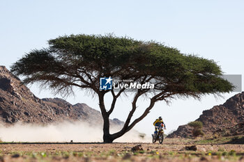 2024-01-17 - 70 DRDAJ Dusan (cze), Orio - Motor Racing Group, KTM, Moto, action during the Stage 10 of the Dakar 2024 on January 17, 2024 around Al Ula, Saudi Arabia - DAKAR 2024 - STAGE 10 - RALLY - MOTORS