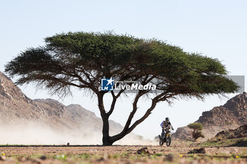 2024-01-17 - 26 DABROWSKI Konrad (pol), DUUST Rally Team, Husqvarna, Moto, FIM W2RC, action during the Stage 10 of the Dakar 2024 on January 17, 2024 around Al Ula, Saudi Arabia - DAKAR 2024 - STAGE 10 - RALLY - MOTORS