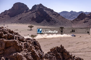 2024-01-17 - 229 BAUD Lionel (fra), BAUD Lucie (fra), Overdrive Racing, Toyota Hilux, FIA Ultimate, FIA W2RC, action during the Stage 10 of the Dakar 2024 on January 17, 2024 around Al Ula, Saudi Arabia - DAKAR 2024 - STAGE 10 - RALLY - MOTORS