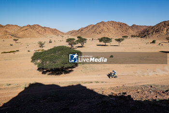 2024-01-17 - 174 Andujar Manuel (arg), 7240 Team / Drag'On Rally Service, Yamaha, Motul, Quad, FIM W2RC, action during the Stage 10 of the Dakar 2024 on January 17, 2024 around Al Ula, Saudi Arabia - DAKAR 2024 - STAGE 10 - RALLY - MOTORS