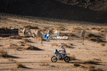 2024-01-18 - 117 MARTI SUNER Josep (spa), ALL1 Team, GasGas, Moto, action during the Stage 11 of the Dakar 2024 on January 18, 2024 between Al Ula and Yanbu, Saudi Arabia - DAKAR 2024 - STAGE 11 - RALLY - MOTORS