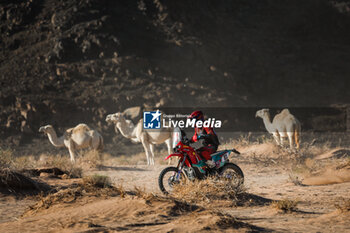 2024-01-18 - 81 XIANGLIANG Fang (chn), Kove, Kove, Moto, action during the Stage 11 of the Dakar 2024 on January 18, 2024 between Al Ula and Yanbu, Saudi Arabia - DAKAR 2024 - STAGE 11 - RALLY - MOTORS