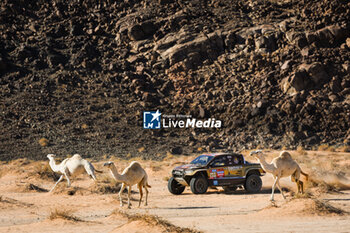 2024-01-18 - 211 CHICHERIT Guerlain (fra), WINOCQ Alex (fra), Overdrive Racing, Toyota Hilux, FIA Ultimate, FIA W2RC, action during the Stage 11 of the Dakar 2024 on January 18, 2024 between Al Ula and Yanbu, Saudi Arabia - DAKAR 2024 - STAGE 11 - RALLY - MOTORS