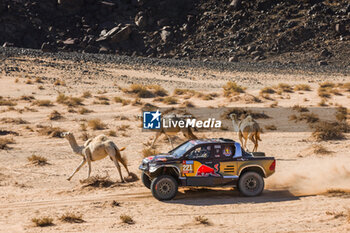 2024-01-18 - 221 DE MEVIUS Guillaume (bel), PANSERI Xavier (fra), Overdrive Racing, Toyota Hilux, FIA Ultimate, action during the Stage 11 of the Dakar 2024 on January 18, 2024 between Al Ula and Yanbu, Saudi Arabia - DAKAR 2024 - STAGE 11 - RALLY - MOTORS