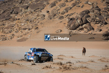 2024-01-18 - 229 BAUD Lionel (fra), BAUD Lucie (fra), Overdrive Racing, Toyota Hilux, FIA Ultimate, FIA W2RC, action during the Stage 11 of the Dakar 2024 on January 18, 2024 between Al Ula and Yanbu, Saudi Arabia - DAKAR 2024 - STAGE 11 - RALLY - MOTORS