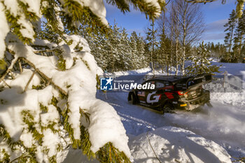 2024-02-17 - 37 BERTELLI Lorenzo, SCATTOLIN Simone, Toyota GR Yaris Rally1, action during the Rally Sweden 2024, 2nd round of the 2024 WRC World Rally Car Championship, from February 15 to 18, 2024 at Umea, Sweden - AUTO - WRC - RALLY SWEDEN 2024 - RALLY - MOTORS