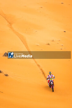 2024-02-29 - 44 MARE Aaron (ZAF), Srg Motorsports, KTM 450 Rally Replica, FIM W2RC, action during the Stage 3 of the 2024 Abu Dhabi Desert Challenge, on February 29, 2024 in Mzeer’ah, United Arab Emirates - W2RC - ABU DHABI DESERT CHALLENGE 2024 - RALLY - MOTORS