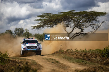 2024-03-27 - 13 MUNSTER Gregoire, LOUKA Louis, Ford Puma Rally1, actionduring the Safari Rally Kenya 2024, 3rd round of the 2024 WRC World Rally Car Championship, from March 28 to 31, 2024 at Nairobi, Kenya - AUTO - WRC - SAFARI RALLY KENYA 2024 - RALLY - MOTORS