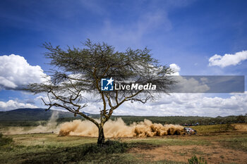 2024-03-27 - 69 ROVANPERA Kalle, HALTTUNEN Jonne, Toyota GR Yaris Rally1, actionduring the Safari Rally Kenya 2024, 3rd round of the 2024 WRC World Rally Car Championship, from March 28 to 31, 2024 at Nairobi, Kenya - AUTO - WRC - SAFARI RALLY KENYA 2024 - RALLY - MOTORS