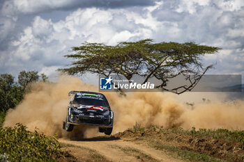 2024-03-27 - 33 EVANS Elfyn, MARTIN Scott, Toyota GR Yaris Rally1, actionduring the Safari Rally Kenya 2024, 3rd round of the 2024 WRC World Rally Car Championship, from March 28 to 31, 2024 at Nairobi, Kenya - AUTO - WRC - SAFARI RALLY KENYA 2024 - RALLY - MOTORS