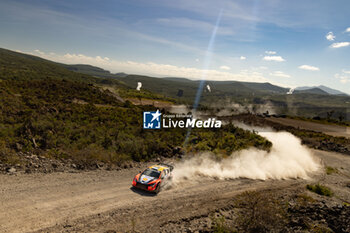 Fia World Rally Championship Wrc  Safari Rally Kenya 2024  - RALLY - MOTORS