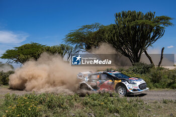 2024-03-29 - The Driver Adrien Fourmaux And Co-Driver Alexandre Coria Of The Team M-Sport Ford World Rally Team Ford Puma Rally1 Hybrid,Face The Second Day Race ,During Fia World Rally Championship Wrc Safari Rally Kenya 2024 29 Wednesday , Naivasha, Kenya - FIA WORLD RALLY CHAMPIONSHIP WRC  SAFARI RALLY KENYA 2024  - RALLY - MOTORS