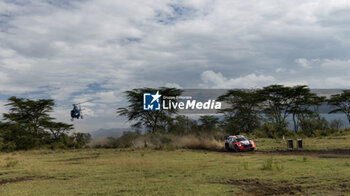 2024-03-30 - The Driver Thierry Neuville And Co-Driver Martijn Wydaeghe Of The Team Hyundai Shell Mobis World Rally Team,Hyundai I20 N Rally1 Hybrid,They Face Day Third Of The Of Race ,During Fia World Rally Championship Wrc Safari Rally Kenya 2024 30 Wednesday , Naivasha, Kenya -  FIA WORLD RALLY CHAMPIONSHIP WRC  SAFARI RALLY KENYA 2024  - RALLY - MOTORS