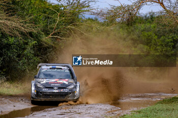 2024-03-30 - Drive Kalle Rovanpera And Co-Driver Jonne Halttunen Of The Team Toyota Gazoo Racing Wrt Are Driving The Toyota Gr Yaris Rally1 Hybrid ,They Face Day Third Of The Of Race ,During Fia World Rally Championship Wrc Safari Rally Kenya 2024 30 Wednesday , Naivasha, Kenya -  FIA WORLD RALLY CHAMPIONSHIP WRC  SAFARI RALLY KENYA 2024  - RALLY - MOTORS