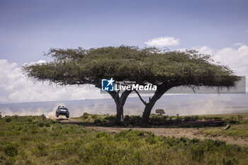 AUTO - WRC - SAFARI RALLY KENYA 2024 - RALLY - MOTORS