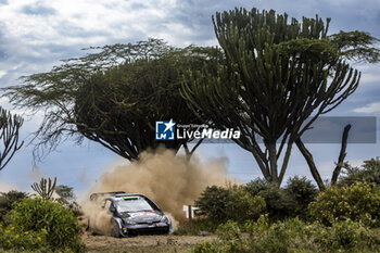 2024-03-29 - 33 EVANS Elfyn, MARTIN Scott, Toyota GR Yaris Rally1, actionduring the Safari Rally Kenya 2024, 3rd round of the 2024 WRC World Rally Car Championship, from March 28 to 31, 2024 at Nairobi, Kenya - AUTO - WRC - SAFARI RALLY KENYA 2024 - RALLY - MOTORS