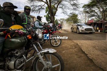2024-03-30 - 19 Jourdan SERDERIDIS, Frédéric MICLOTTE, Ford Puma Rally1, action during the Safari Rally Kenya 2024, 3rd round of the 2024 WRC World Rally Car Championship, from March 28 to 31, 2024 at Nairobi, Kenya - AUTO - WRC - SAFARI RALLY KENYA 2024 - RALLY - MOTORS