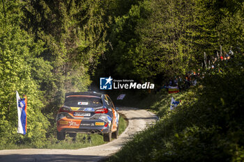 2024-04-19 - 50 Romet JÜRGENSON, Siim OJA, Ford Fiesta Rally3, action during the Croatia Rally 2024, 4th round of the 2024 WRC World Rally Car Championship, from April 18 to 21, 2024 at Zagreb, Croatia - AUTO - WRC - CROATIA RALLY 2024 - RALLY - MOTORS