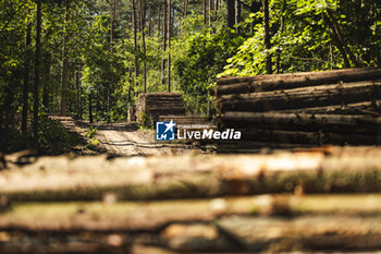 2024-06-25 - ambiance during the Rally Poland 2024, 7th round of the 2024 WRC World Rally Car Championship, from June 27 to 30, 2024 at Mikolajki, Poland - AUTO - WRC - RALLY POLAND 2024 - RALLY - MOTORS