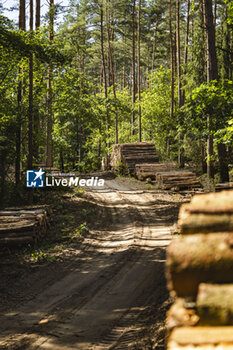 2024-06-25 - ambiance during the Rally Poland 2024, 7th round of the 2024 WRC World Rally Car Championship, from June 27 to 30, 2024 at Mikolajki, Poland - AUTO - WRC - RALLY POLAND 2024 - RALLY - MOTORS