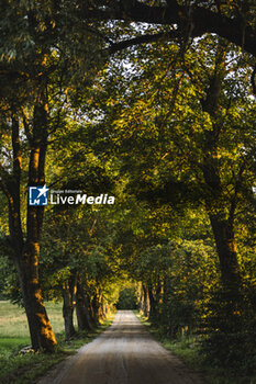 2024-06-25 - ambiance during the Rally Poland 2024, 7th round of the 2024 WRC World Rally Car Championship, from June 27 to 30, 2024 at Mikolajki, Poland - AUTO - WRC - RALLY POLAND 2024 - RALLY - MOTORS