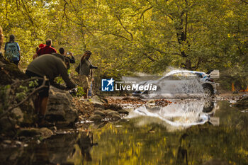 08/09/2024 - 19 SERDERIDIS Jourdan, MICLOTTE Frédéric, Ford Puma Rally1, action during the Acropolis Rally Greece 2024, 10th round of the 2024 WRC World Rally Car Championship, from September 1 to 4, 2024 at Lamia, Greece - AUTO - WRC - ACROPOLIS RALLY GREECE 2024 - RALLY - MOTORI