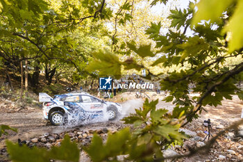 08/09/2024 - 19 SERDERIDIS Jourdan, MICLOTTE Frédéric, Ford Puma Rally1, action during the Acropolis Rally Greece 2024, 10th round of the 2024 WRC World Rally Car Championship, from September 1 to 4, 2024 at Lamia, Greece - AUTO - WRC - ACROPOLIS RALLY GREECE 2024 - RALLY - MOTORI