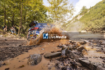 08/09/2024 - 59 GILL Taylor, BRKIC Daniel, Ford Fiesta Rally3, action during the Acropolis Rally Greece 2024, 10th round of the 2024 WRC World Rally Car Championship, from September 1 to 4, 2024 at Lamia, Greece - AUTO - WRC - ACROPOLIS RALLY GREECE 2024 - RALLY - MOTORI