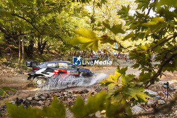 08/09/2024 - 33 EVANS Elfyn, MARTIN Scott, Toyota GR Yaris Rally1, action during the Acropolis Rally Greece 2024, 10th round of the 2024 WRC World Rally Car Championship, from September 1 to 4, 2024 at Lamia, Greece - AUTO - WRC - ACROPOLIS RALLY GREECE 2024 - RALLY - MOTORI