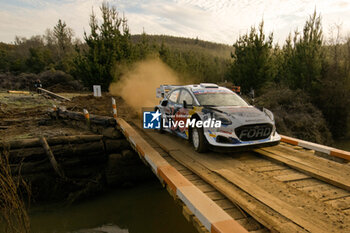 26/09/2024 - Driver Adrien Fourmaux And Co-Driver Alexandre Coria Of The Team M-Sport Ford World Rally Team Ford Puma Rally1 Hybrid,They Face In Shakedown,During Fia World Rally Championship Wrc Rally Chile Bio Bio 2024 26 Sept Concepcion , Chile - FIA WORLD RALLY CHAMPIONSHIP WRC RALLY CHILE BIO BíO 2024  - RALLY - MOTORI