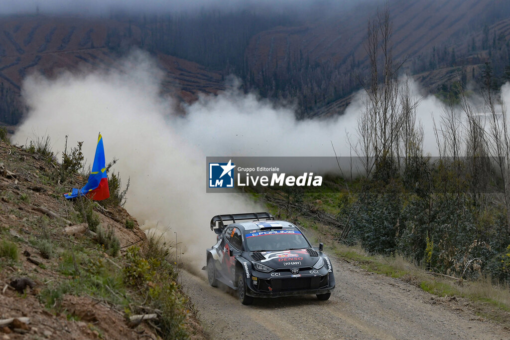 Fia World Rally Championship Wrc Rally Chile Bio Bío 2024 - RALLY - MOTORI