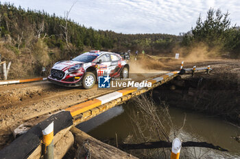 26/09/2024 - 22 SESKS Mārtiņš, FRANCIS Renārs, Ford Puma Rally1, action during the Rally Chile 2024, 11th round of the 2024 WRC World Rally Car Championship, from September 26 to 29, 2024 at Concepcion, Chile - AUTO - WRC - RALLY CHILE 2024 - RALLY - MOTORI