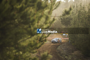 26/09/2024 - 13 MUNSTER Gregoire, LOUKA Louis, Ford Puma Rally1, action during the Rally Chile 2024, 11th round of the 2024 WRC World Rally Car Championship, from September 26 to 29, 2024 at Concepcion, Chile - AUTO - WRC - RALLY CHILE 2024 - RALLY - MOTORI