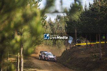 26/09/2024 - 22 SESKS Mārtiņš, FRANCIS Renārs, Ford Puma Rally1, action during the Rally Chile 2024, 11th round of the 2024 WRC World Rally Car Championship, from September 26 to 29, 2024 at Concepcion, Chile - AUTO - WRC - RALLY CHILE 2024 - RALLY - MOTORI